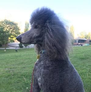 Meet your Posher, Marnie